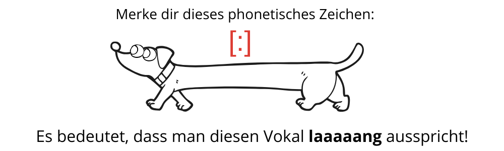 ein dackel der lang ist und ein phonetisches zeichen fuer lange vokale im deutschen alphabet